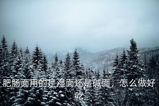 德陽哪里有好吃的肥腸面,四川哪里的面條最好吃