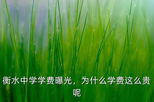 衡水市三中的學費是多少,衡水中學學費是多少