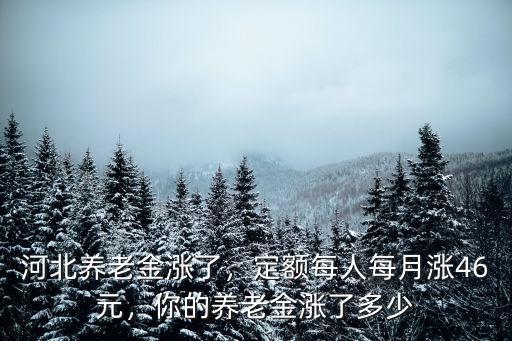 河北養(yǎng)老金漲了，定額每人每月漲46元，你的養(yǎng)老金漲了多少