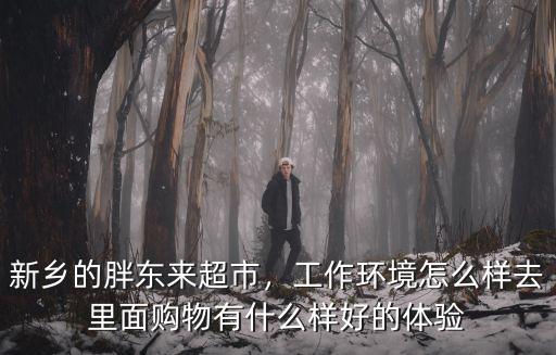 新鄉(xiāng)的胖東來(lái)超市，工作環(huán)境怎么樣去里面購(gòu)物有什么樣好的體驗(yàn)