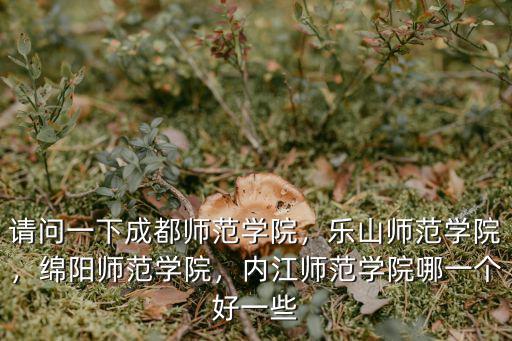 內(nèi)江師范學(xué)院第一學(xué)術(shù)報告廳在哪里,內(nèi)江師范學(xué)院哪一個好一些