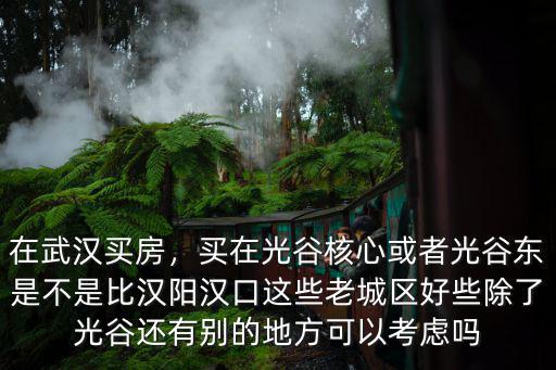 武漢漢口光谷怎么樣,知道光谷廣場現在怎么樣了