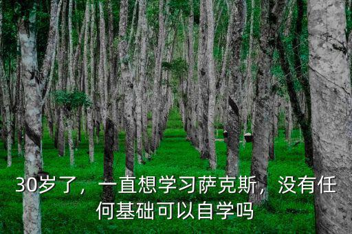 30歲了，一直想學習薩克斯，沒有任何基礎可以自學嗎
