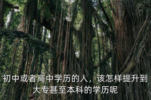 初中或者高中學歷的人，該怎樣提升到大專甚至本科的學歷呢