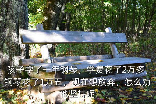 淮南學鋼琴一年多少錢,學習鋼琴大概要花多少錢