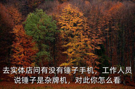 成都錘子手機實體店哪里有,去實體店問有沒有錘子手機