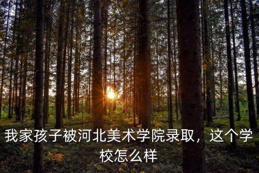 我家孩子被河北美術(shù)學(xué)院錄取，這個(gè)學(xué)校怎么樣