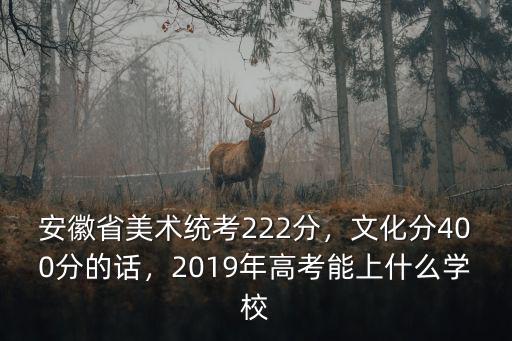安徽美術聯考260分排名多少,安徽省美術統考222分