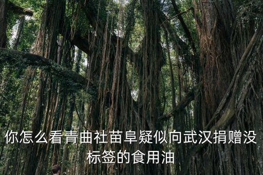 你怎么看青曲社苗阜疑似向武漢捐贈(zèng)沒(méi)標(biāo)簽的食用油