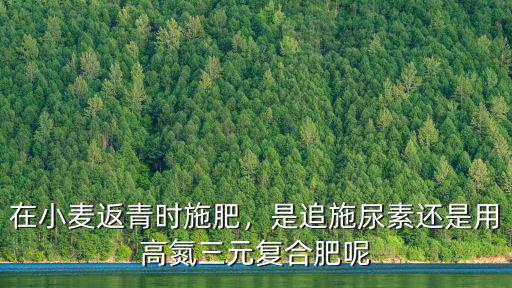 復(fù)合肥氮的利用率是多少,怎樣提高復(fù)合肥氮的利用率
