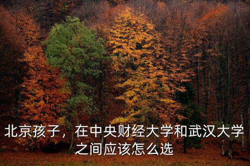 北京孩子，在中央財經大學和武漢大學之間應該怎么選