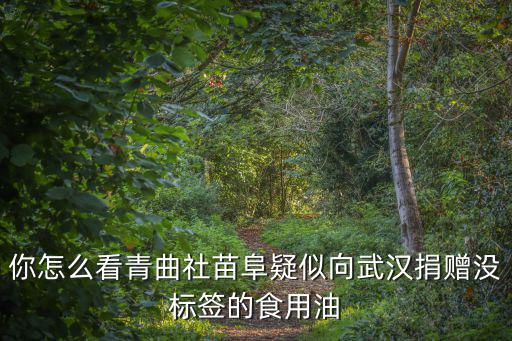 怎么能往武漢捐錢,沒給武漢捐錢捐物