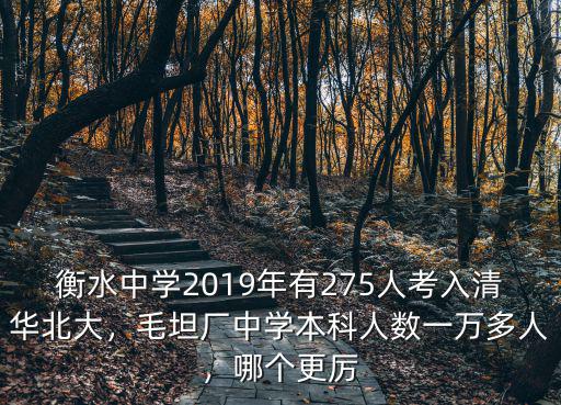 衡水中學2019年有275人考入清華北大，毛坦廠中學本科人數一萬多人，哪個更厲