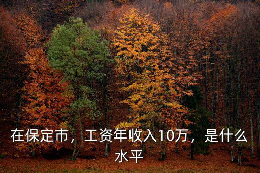 在保定市，工資年收入10萬(wàn)，是什么水平
