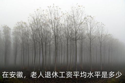 在安徽，老人退休工資平均水平是多少