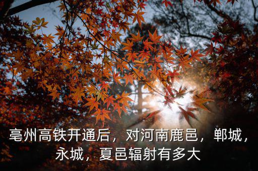 亳州高鐵開通后，對河南鹿邑，鄲城，永城，夏邑輻射有多大