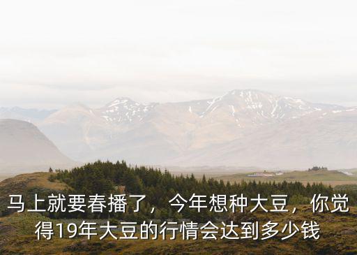 馬上就要春播了，今年想種大豆，你覺得19年大豆的行情會達到多少錢