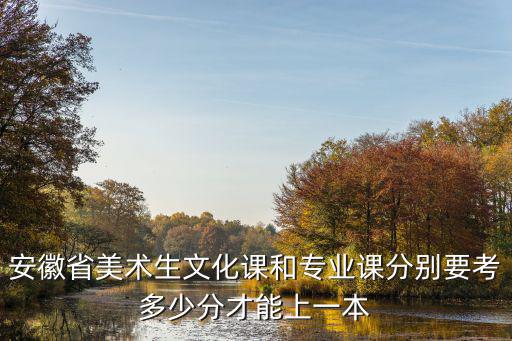 安徽省美術(shù)生文化課和專業(yè)課分別要考多少分才能上一本