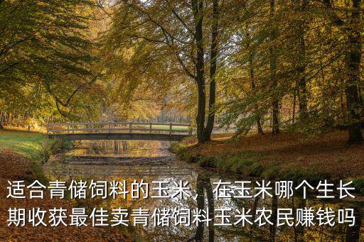 適合青儲飼料的玉米，在玉米哪個生長期收獲最佳賣青儲飼料玉米農民賺錢嗎