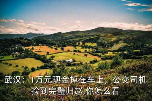 武漢公交上掉東西怎么找回,公交上丟失東西