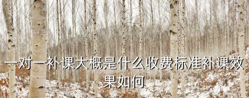 一對一補課大概是什么收費標準補課效果如何