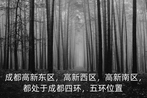 成都高新西區仲裁在哪里,成都高新東區