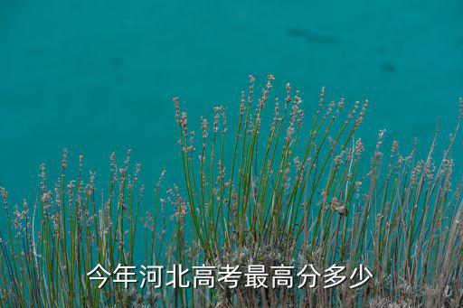 今年河北高考最高分多少