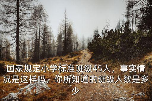 保定小學一個班多少人,保定哪所小學比較好