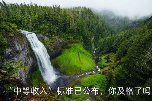 淮南中等收入的標準是多少,那中等收入是什么標準
