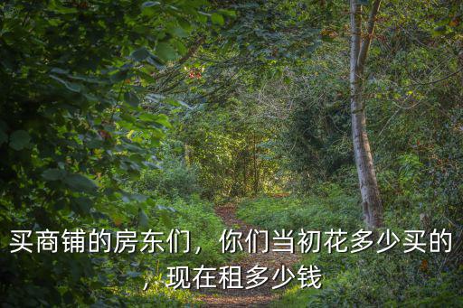 買商鋪的房東們，你們當初花多少買的，現在租多少錢