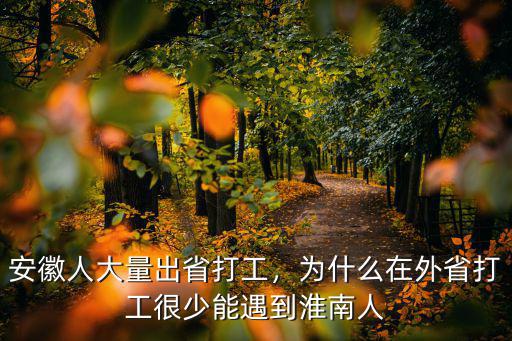 安徽人大量出省打工，為什么在外省打工很少能遇到淮南人