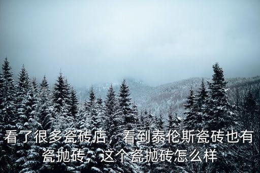看了很多瓷磚店，看到泰倫斯瓷磚也有瓷拋磚，這個(gè)瓷拋磚怎么樣