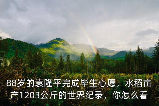 河北水稻畝產(chǎn)多少斤,水稻小麥的畝產(chǎn)是多少