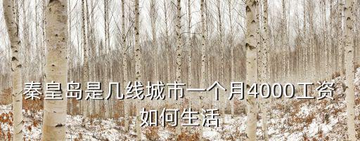 秦皇島是幾線城市一個月4000工資如何生活