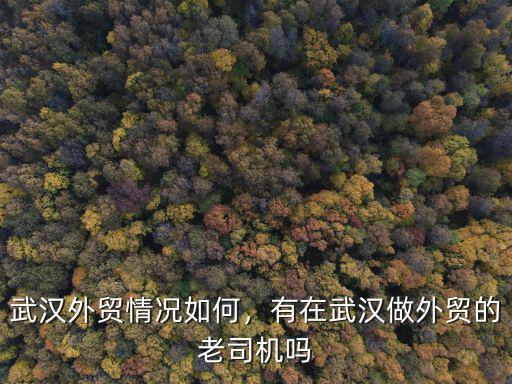 武漢外貿情況如何，有在武漢做外貿的老司機嗎