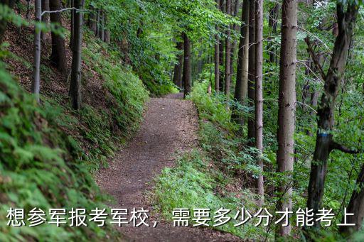想?yún)④妶罂架娦＃枰嗌俜植拍芸忌? class=