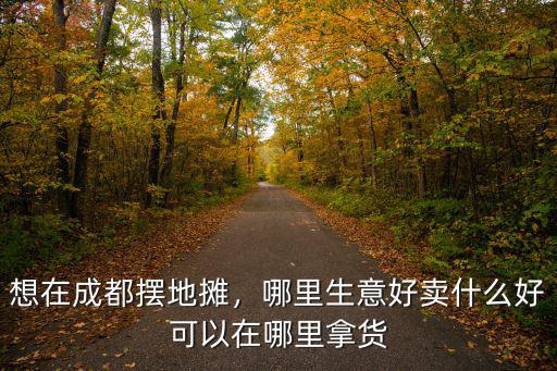 成都光華擺地攤哪里可以,請問成都哪里可以擺地攤