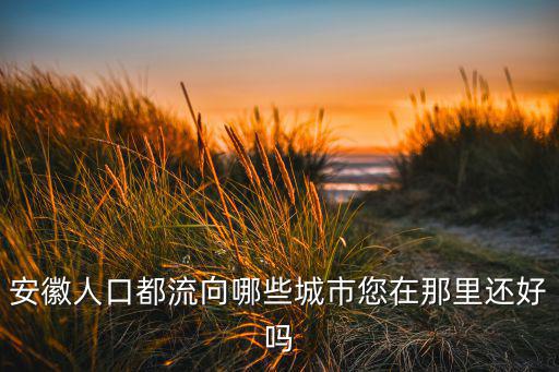 安徽各市人口大約是多少人,安徽哪個城市的人口最多