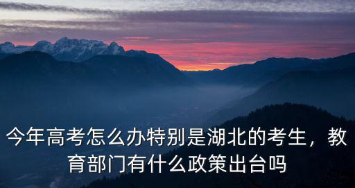 今年高考怎么辦特別是湖北的考生，教育部門有什么政策出臺嗎