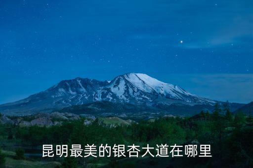 昆明最美的銀杏大道在哪里
