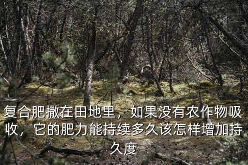 復合肥撒在田地里，如果沒有農作物吸收，它的肥力能持續多久該怎樣增加持久度
