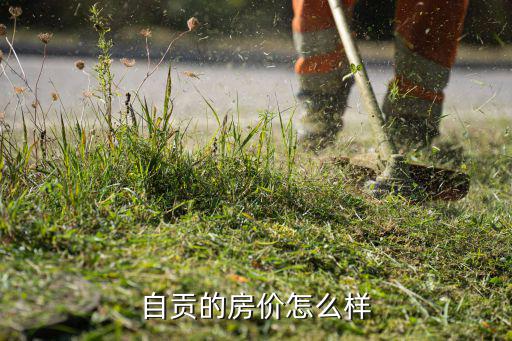 自貢的房價怎么樣