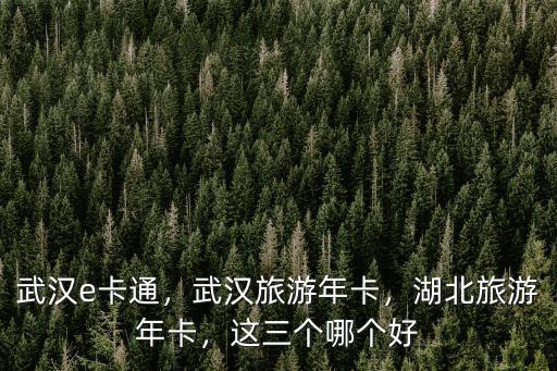 武漢騰旅e卡通年卡怎么買,武漢旅游年卡