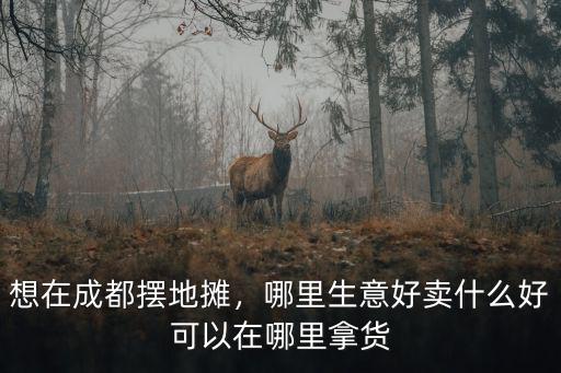 想在成都擺地?cái)偅睦锷夂觅u什么好可以在哪里拿貨