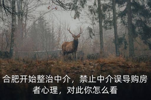 合肥開始整治中介，禁止中介誤導購房者心理，對此你怎么看