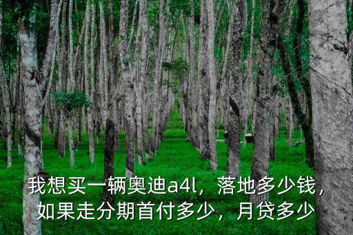 我想買一輛奧迪a4l，落地多少錢，如果走分期首付多少，月貸多少