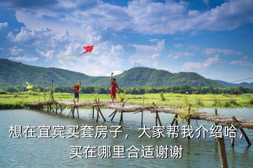 宜賓金家橋在哪里,宜賓未來的城市中心在哪里