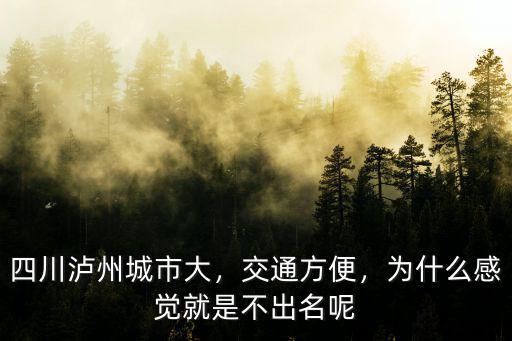 四川瀘州哪里最出名,四川瀘州有哪些出名的酒