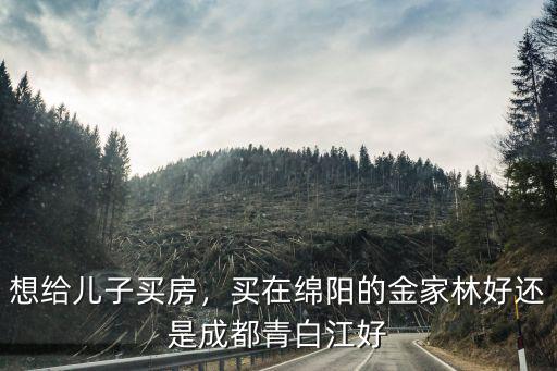 想給兒子買房，買在綿陽的金家林好還是成都青白江好
