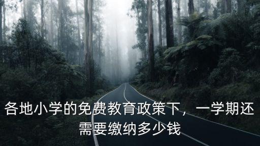 各地小學的免費教育政策下，一學期還需要繳納多少錢